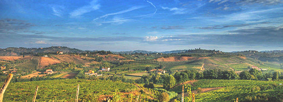 Wine tasting tour in Chianti